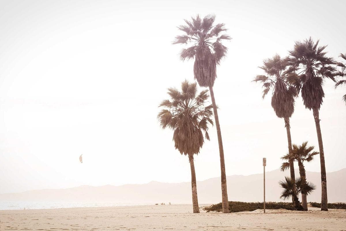 Best Travel Insurance for Families