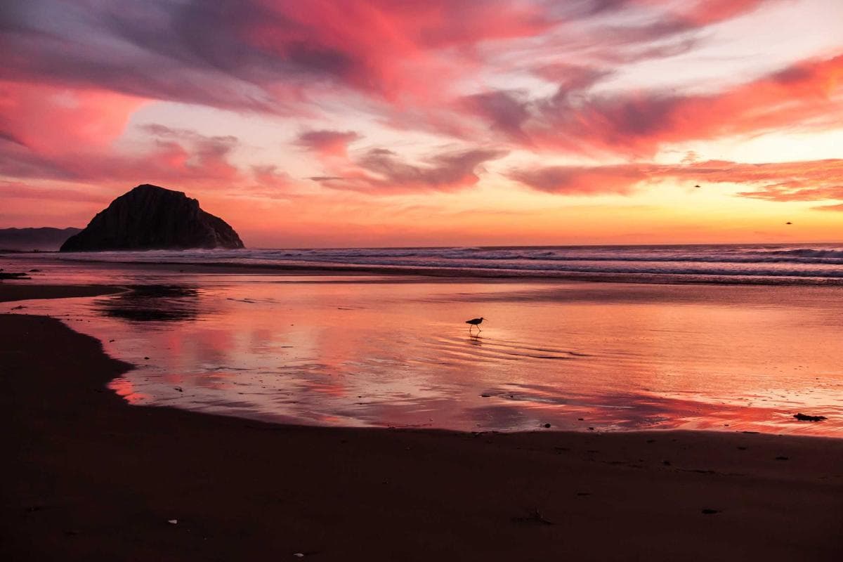 Remote Jobs for Parents Who Love Traveling